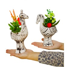 Çiçek Seli 2'li Zürafa ve Zebra Seramik Saksıda Kalanchoe ve Sukulent Tasarımı & İç Mekan Bitkileri