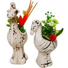 Çiçek Seli 2'li Zürafa ve Zebra Seramik Saksıda Kalanchoe ve Sukulent Tasarımı & İç Mekan Bitkileri