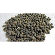 Bamya Tohumu Dökme 250 gr