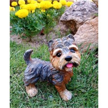 Terrier Köpek Bahçe Heykeli, Yorkshire Terrier Köpek Heykeli, Alçı Heykel