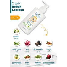 Born & Clean Organik 3lü Set Şampuan, Losyon, Yağ