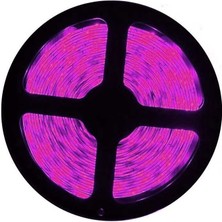 Cata Pembe Şerit LED 10 Çipli Iç Mekan 5 Metre