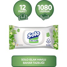 Solo Islak Havlu Kapaklı 90 Yaprak 12'li Set 1080 Yaprak