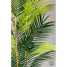 Biçiçek 115 cm  Areka Ağacı 24 Yapraklı Yakut Saksıda
