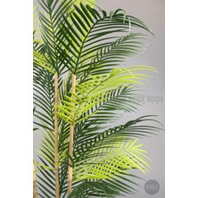 Biçiçek 125 cm  Areka Ağacı 24 Yapraklı Nergiz Saksıda