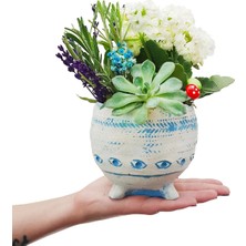 Çiçek Seli Bodrum Serisi Lavanta Sukulent ve Kalanchoe 3'lü Bitki Tasarımı Salon Cicekleri