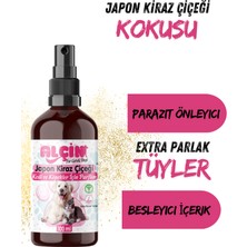 Alçin Kedi ve Köpek Parfümü Parazit Karşıtı Içerikli Japon Kiraz Çiçeği Kokulu 100 ml Cam Şişe