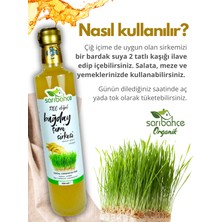 Buğday Çimi Sirkesi  Doğal Fermente 500 ml - Organik Doğal Fermente