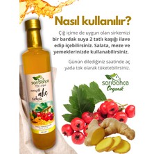 Zencefilli Alıç Sirkesi 500 ml 2'li Paket - Organik Doğal Fermente