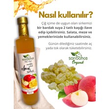 Sandaloz Sakızlı Elma Sirkesi 500 ml 2'li Paket - Organik Doğal Fermente
