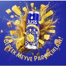 Juss Mango Parçacıklı İçecek 250ML 24 Adet