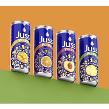 Juss Mango Parçacıklı İçecek 250ML 24 Adet