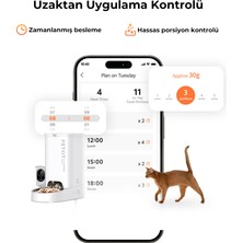 Petkit Yumshare Solo Kameralı Akıllı Mama Kabı