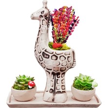 Çiçek Seli 3'lü Sukulent ve Lavanta Trio Set & Vintage Handmade Zürafa Seramik Saksıda Dekoratif Saksi