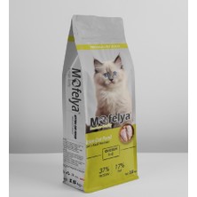 Mofelya Yavru Kedi Maması 15 kg Tavuklu