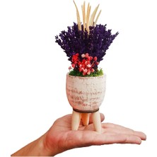 Çiçek Seli Lavanta Cream Kuru Çiçek Aranjman & Dekoratif Çiçek 15-20 cm & Doğum Günü Hediyesi