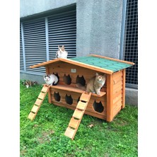 Pati Emlak 8'Li Kedi Evi (Ahşap Dış Ortam)