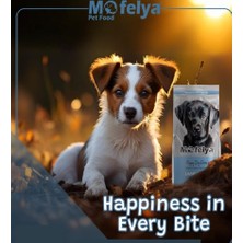 Mofelya Yavru Köpek Maması 15 kg Kuzu Etli Pirinçli