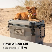 Coleman Convoy 55 Qt Taşınabilir Soğutucu Buzluk 52 Lt
