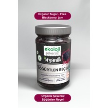 Organik Şekersiz Böğürtlen Reçeli 380 gr