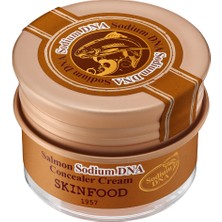 Skinfood Salmon Sodium Dna Concealer Cream No.2 Beige