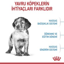 Royal Canin Medium Puppy Köpek Maması - 4 Kg