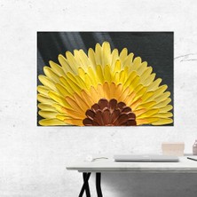 Asyemur Design Rölyef Pasta 3 Boyutlu Çiçekler - Günebakan