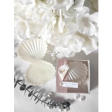 Candles Flame Kutulu Keten Kurdeleli Istiridye Mum 20 Adet Söz Nişan Nikah leri