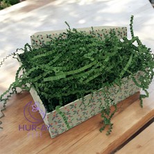 HUR-AY PACK Çam Yeşili / Koyu Yeşil Kırpık Kırpıntı Z Zigzag Pelur / Kırpıntı KAĞIT/100 gr /süs Dolgu Malzemesi