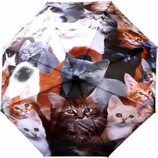Uniquetrenders Kedi Desenli Canlı Lüx Renkli Baskılı Rüzgara Dayanıklı 8 Telli Katlanabilir Manuel Şemsiye