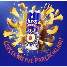 JUSS PARÇACIKLI İÇECEK ŞEFTALİ 250 ML KUTU