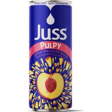 JUSS PARÇACIKLI İÇECEK ŞEFTALİ 250 ML KUTU