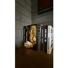 Kedi Kitap Tutucu, Kitaplık Dekoru