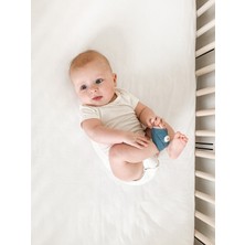 Owlet Smart Sock / Akıllı Çorap Gece Mavisi