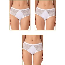 3'lü Paket Kadın Modal Pamuklu Dantelli Bato Külot