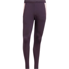 adidas Afc Tr Pnt Erkek  Mor  Eşofman Altı JF2916