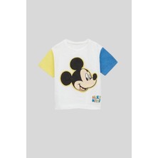 Yeni Sezon Erkek Çocuk Çok Renkli Mickey Mouse Baskılı Yazlık Alt-Üst Şortlu Takım Çok Renkli
