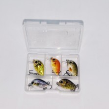 Megsaydin 1 gr 2.5 cm Mini Lrf Lokmalık Avcı 5 Li Set - Yapay Balık Seti