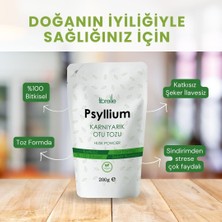 Fibrelle Psyllium Husk (Karnıyarık Otu) Tozu 200 G