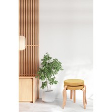 Vilinze Ege Naturel Ahşap Ayak I?stiflenebilir Mutfak-Balkon Taburesi (2 Adet)