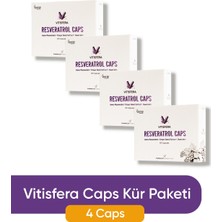 Vitisfera Resveratrol Caps Kür Paketi (4 Kutu)