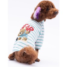 Pettrend Yeşil Bear With Me Baskılı Triko Sweat Kedi Köpek Kıyafeti