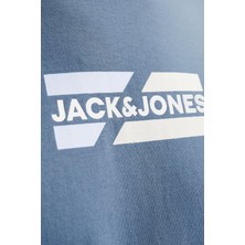 Jjecorp Graphıc Tee  Ss O-Neck Noos Bulut