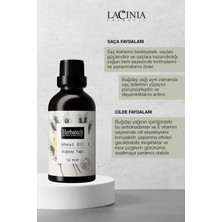 Buğday Yağı 50ML Saç Bakımı ve Cit Bakımı Etkili
