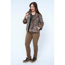 Lema  Leopar Mont (26011)