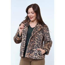 Lema  Leopar Mont (26011)