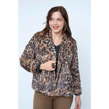 Lema  Leopar Mont (26011)