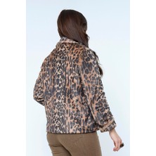 Lema  Leopar Mont (26011)