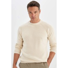 DeFacto Standart Fit Normal Kesim Bisiklet Yaka Basic Düz Triko Kazak A8458AX24WN