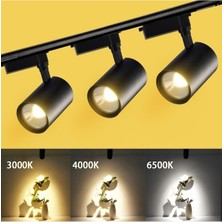 6 Adet Dekoratif LED Ray Spot + 2 Metre Ray Siyah Kasa Günışığı Işık
